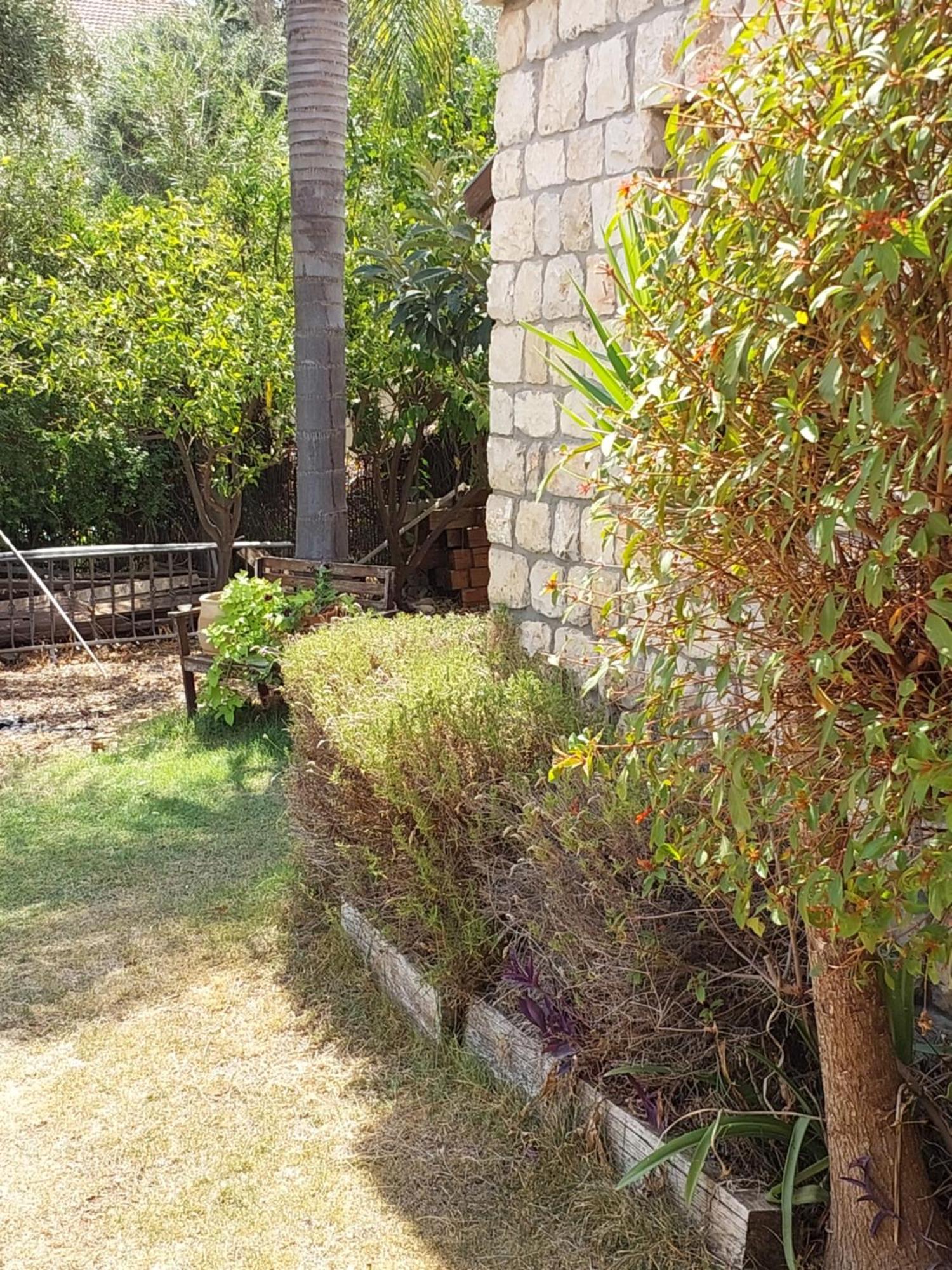 Apartamento Neve Nof Rosh Piná Habitación foto